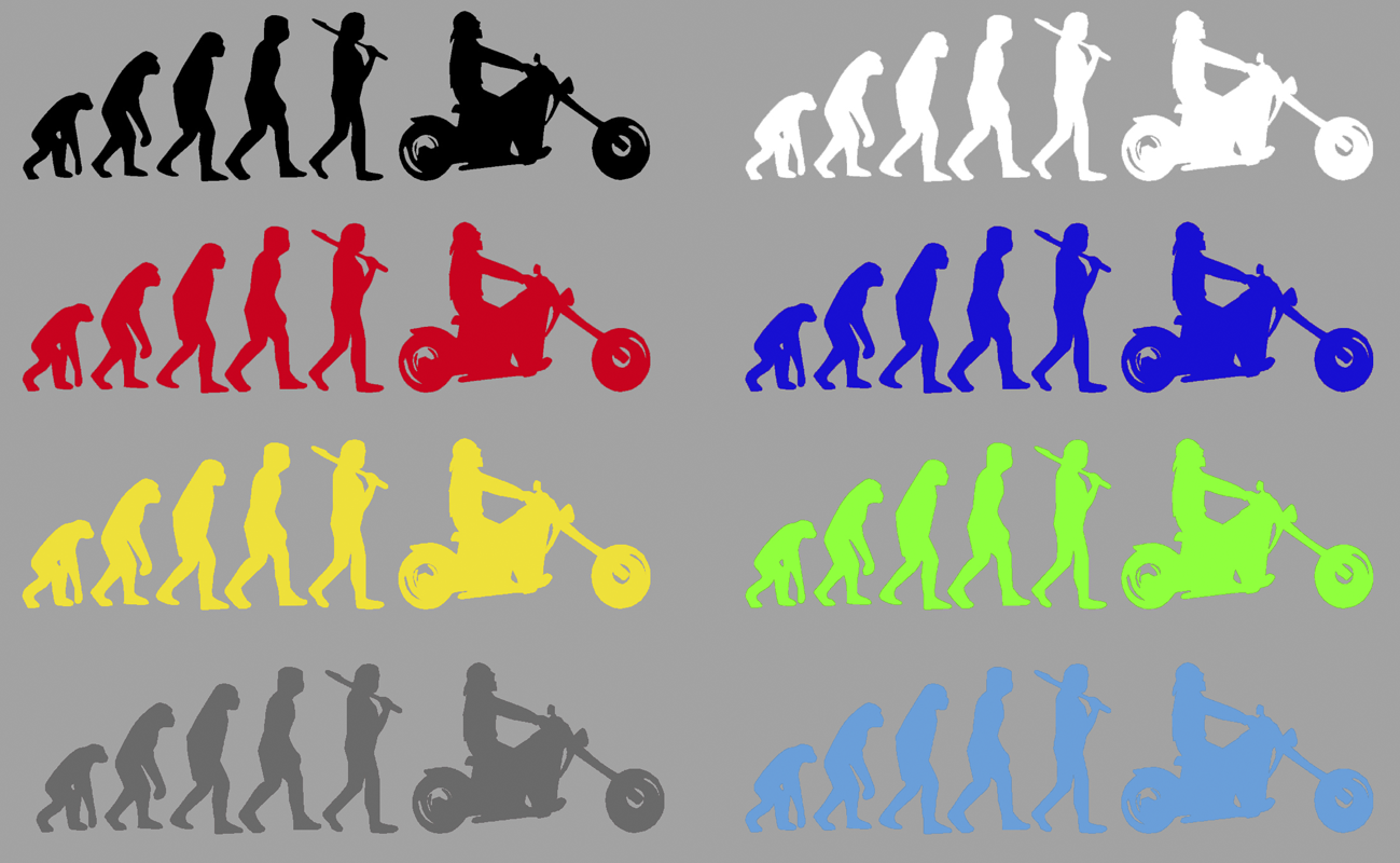Aufkleber Motorrad Evolution